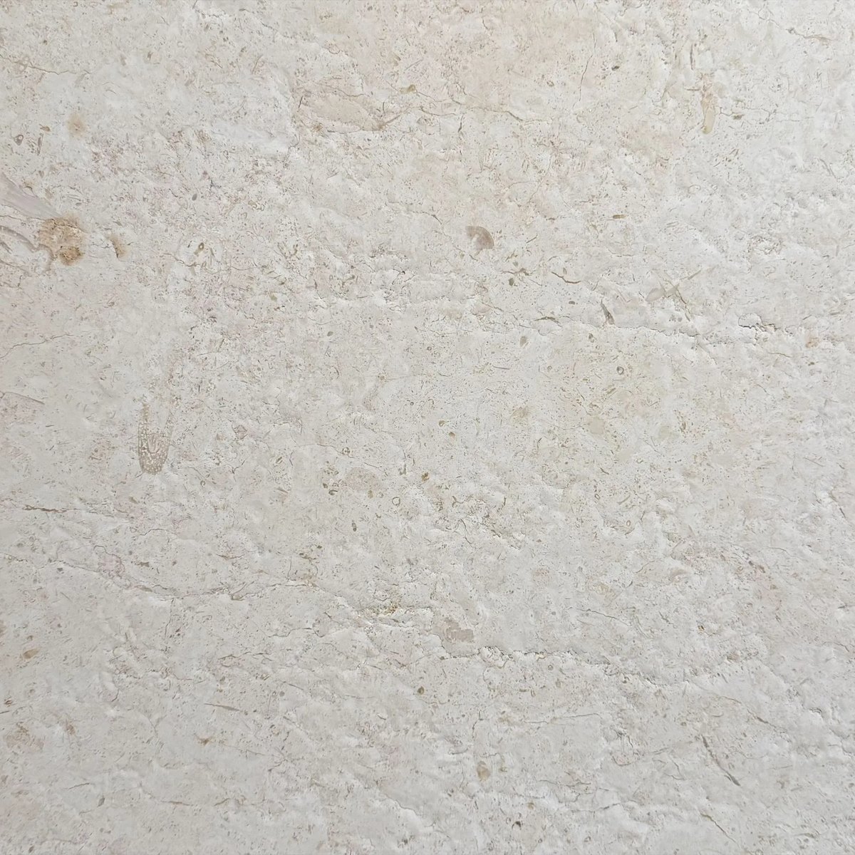 Jerusalem Bone limestone tile — Bright bone white with soft fossil detail and a gently textured surface.
