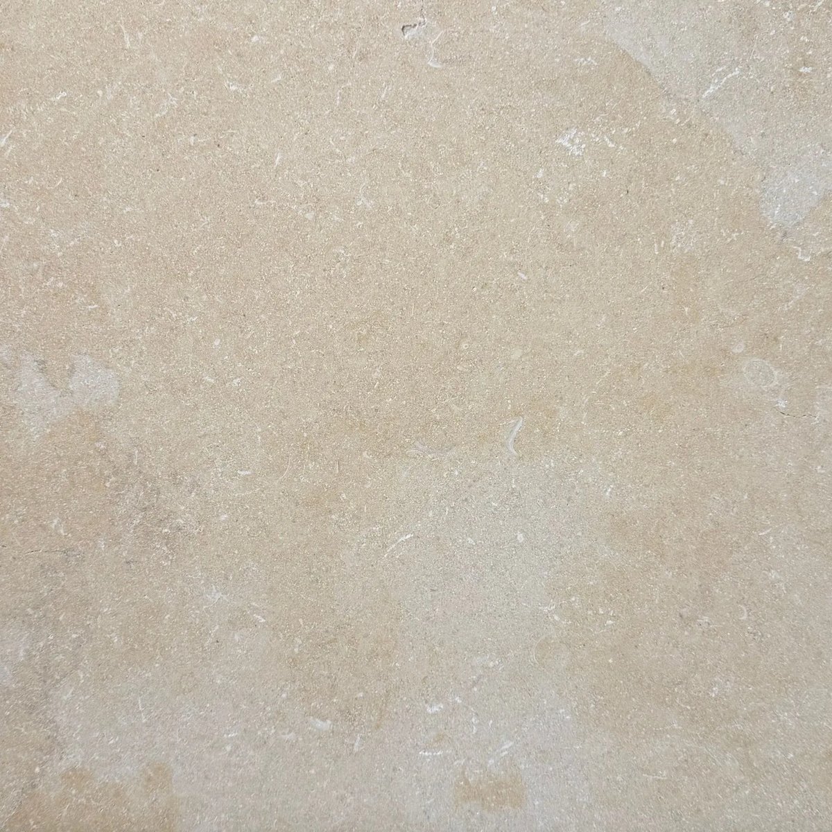 Jerusalem Gold limestone tile — Warm golden beige with a fine, even grain.