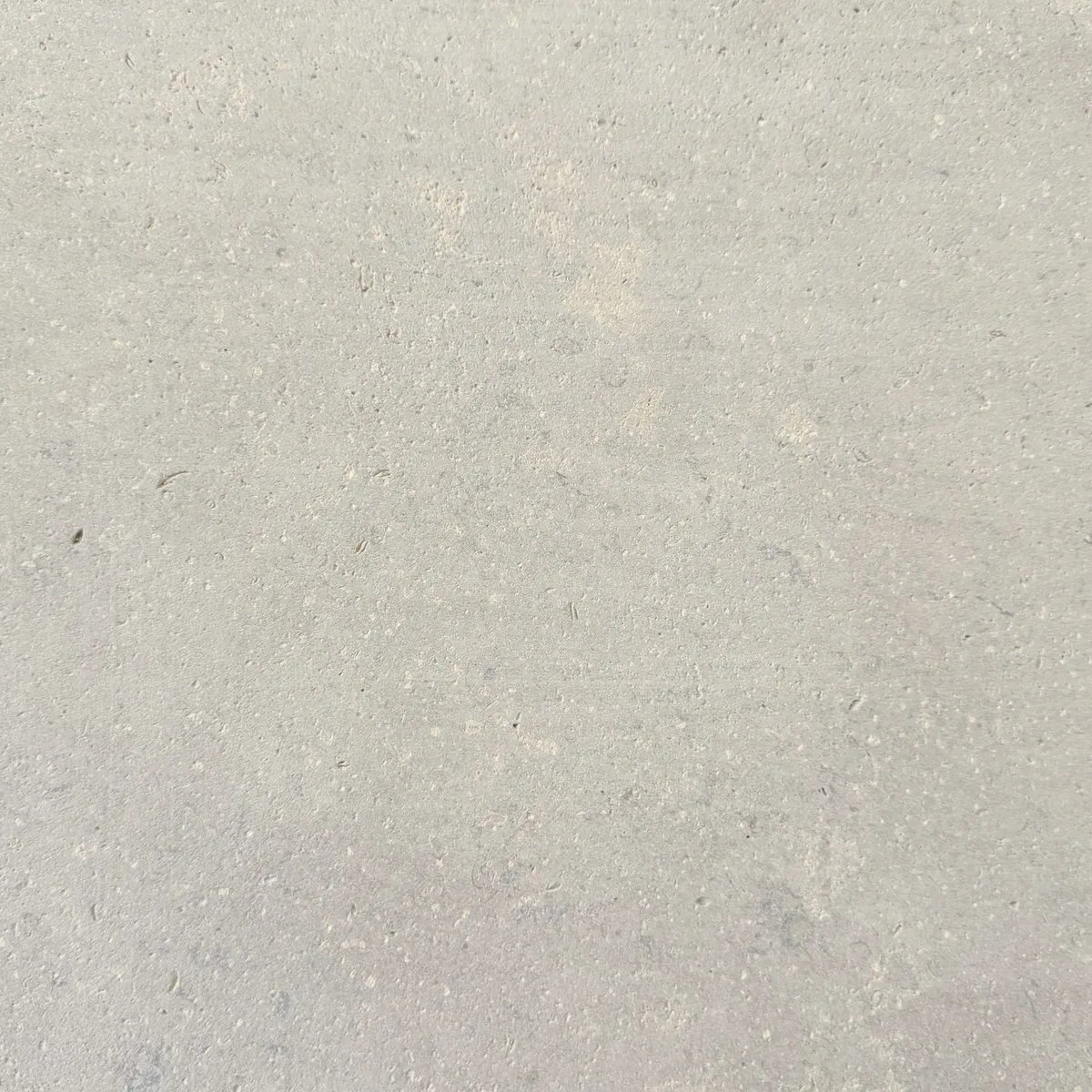 Sahara Pearl limestone tile — Cool, pale pearl grey with subtle speckling.