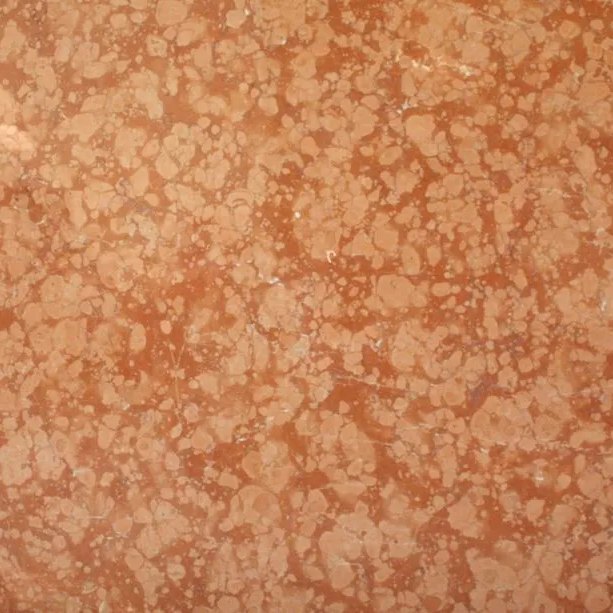 Rosa Verona italian marble tile — Rich terracotta red with a mottled, cellular pattern.