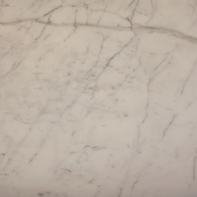 Statuary italian marble tile — Bright white with crisp grey linear veining.