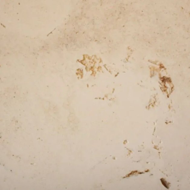 Florentine Unfilled travertine tile — Ivory ground with warm rust inclusions and natural open pores.
